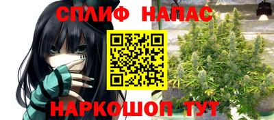 шишки Коммунар