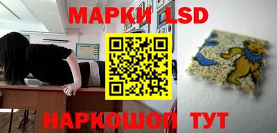 шишки Коммунар