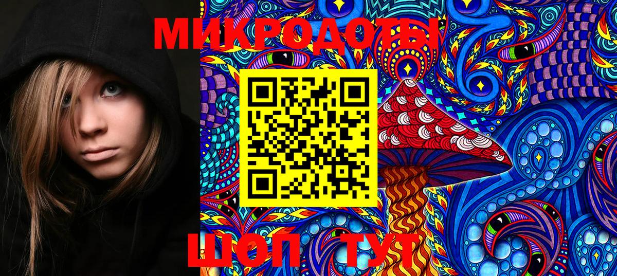 Псилоцибиновые грибы ЛСД Коммунар