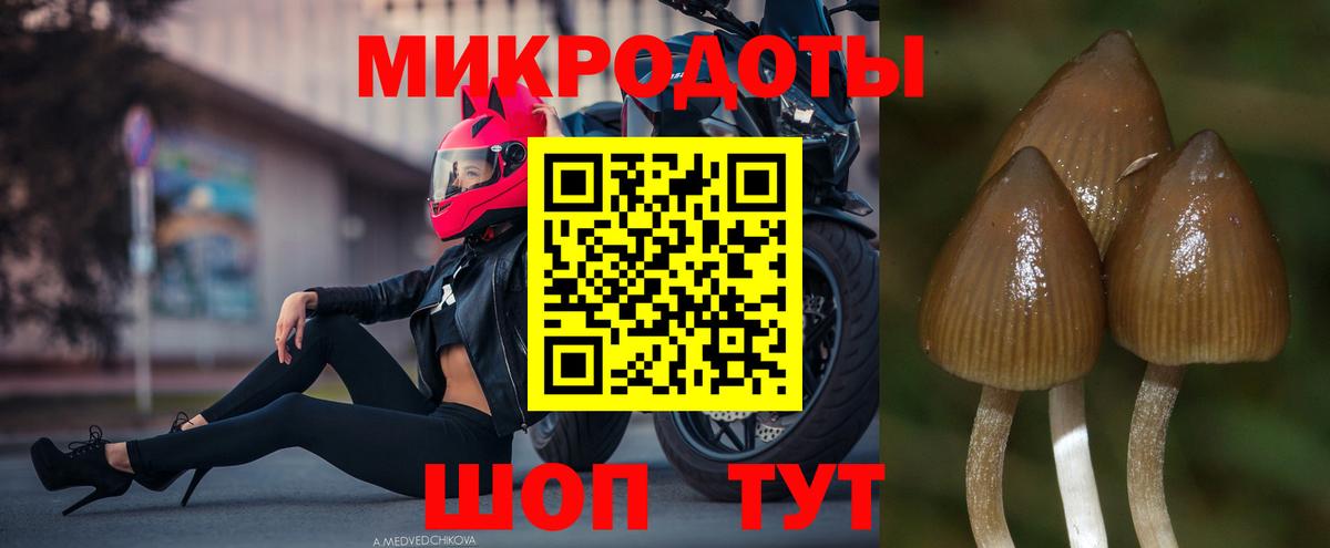 Коммунар  Галлюциногенные грибы Magic Shrooms  где найти   Псилоцибиновые грибы мицелий  Вход с VPN 